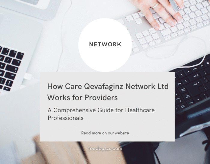 How Care Qevafaginz Network Ltd Works for Providers: A Comprehensive Guide for Healthcare Professionals