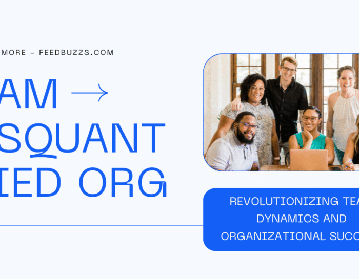 Team Disquantified Org: Revolutionizing Team Dynamics and Organizational Success